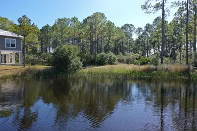 147 Lightning Bug Ln, Saint Teresa, FL 32358 - Photo 48