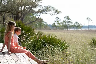 147 Lightning Bug Ln, Saint Teresa, FL 32358 - Photo 16