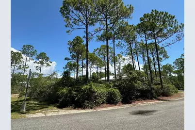 147 Lightning Bug Ln, Saint Teresa, FL 32358 - Photo 4