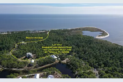 147 Lightning Bug Ln, Saint Teresa, FL 32358 - Photo 1