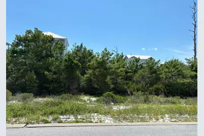 229 Seagrass Cir, Cape San Blas, FL 32456 - Photo 2