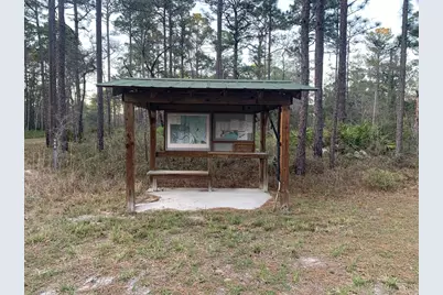 Lot 11 Buckhorn Creek Rd, Sopchoppy, FL 32358 - Photo 8