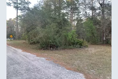 Lot 11 Buckhorn Creek Rd, Sopchoppy, FL 32358 - Photo 1