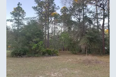 Lot 11 Buckhorn Creek Rd, Sopchoppy, FL 32358 - Photo 4
