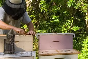 119 Knollwood St, Wewahitchka, FL 32465 - Photo 24