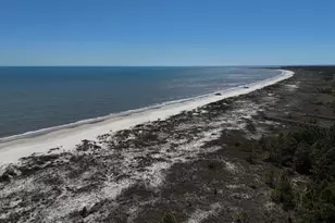 275 Moonrise Ave, Cape San Blas, FL 32456 - Photo 44