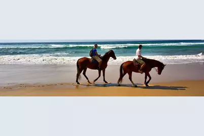 275 Moonrise Ave, Cape San Blas, FL 32456 - Photo 32