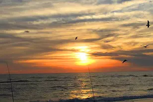 275 Moonrise Ave, Cape San Blas, FL 32456 - Photo 52