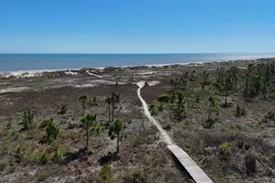 275 Moonrise Ave, Cape San Blas, FL 32456 - Photo 46