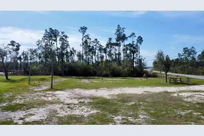 8990 Cr 386 N, Wewahitchka, FL 32465 - Photo 10