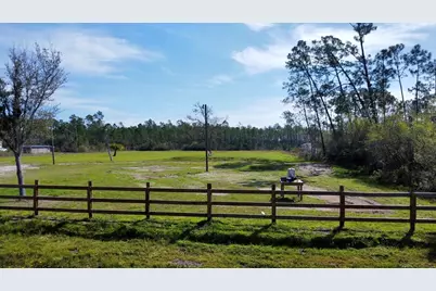 8990 Cr 386 N, Wewahitchka, FL 32465 - Photo 12