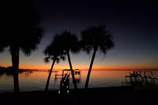 352 Patton St, Saint George Island, FL 32328 - Photo 4