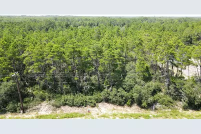 2009 Hwy 98 W, Carrabelle, FL 32322 - Photo 10