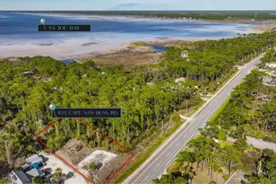 1133 Cape San Blas Rd, Port Saint Joe, FL 32456 - Photo 1