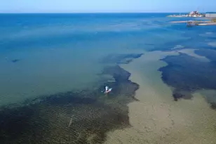 627 Madison St, Port Saint Joe, FL 32456 - Photo 32