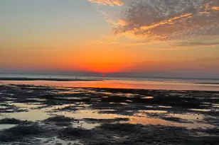 627 Madison St, Port Saint Joe, FL 32456 - Photo 36