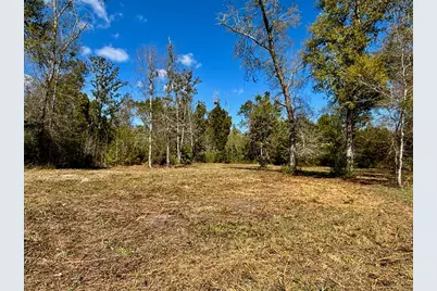 703 W River Rd, Wewahitchka, FL 32465 - Photo 2