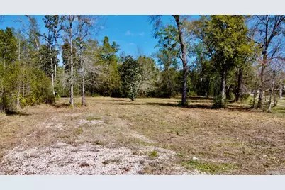703 W River Rd, Wewahitchka, FL 32465 - Photo 4