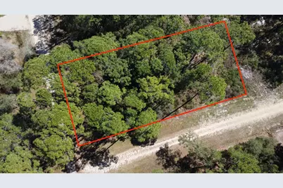 2478 Florida Ave, Carrabelle, FL 32322 - Photo 4