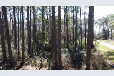 2478 Florida Ave, Carrabelle, FL 32322 - Photo 10