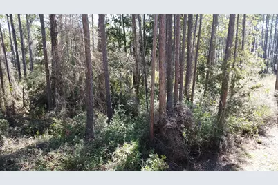 2478 Florida Ave, Carrabelle, FL 32322 - Photo 16