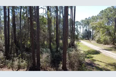 2478 Florida Ave, Carrabelle, FL 32322 - Photo 8