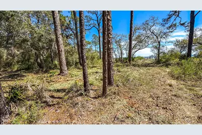 2808 Hwy 98 E, Carrabelle, FL 32322 - Photo 1