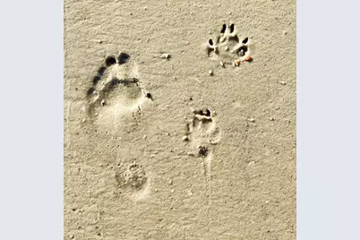 302 Windmark Way, Port Saint Joe, FL 32456 - Photo 14