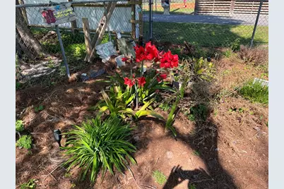 1003 Woodward Ave, Port Saint Joe, FL 32456 - Photo 16