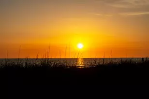 6131 Cape San Blas Rd, Cape San Blas, FL 32456 - Photo 62