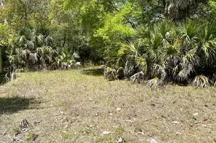 87 Martin Luther King Jr Blvd, Apalachicola, FL 32320 - Photo 6