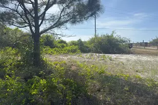 Tbd Cape San Blas Rd, Cape San Blas, FL 32456 - Photo 1