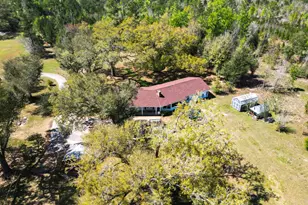 180 Grant Ln, Wewahitchka, FL 32465 - Photo 80