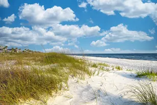 328 Salt Creek Ln, Mexico Beach, FL 32456 - Photo 28