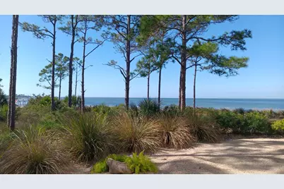 344 Bradford St, Saint George Island, FL 32328 - Photo 40