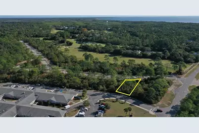 109 Anhinga Trl, Carrabelle, FL 32323 - Photo 2