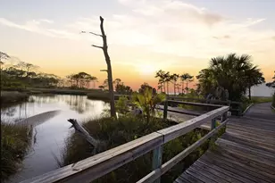 1637 Wayfarers Ct, Saint George Island, FL 32328 - Photo 4