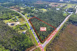 Tbd Cr 386 N, Wewahitchka, FL 32465 - Photo 1