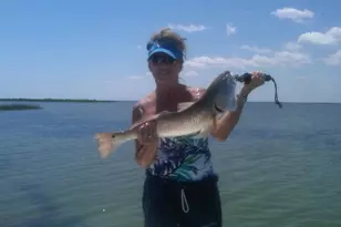 980 W Bay Shore Dr, Saint George Island, FL 32328 - Photo 48