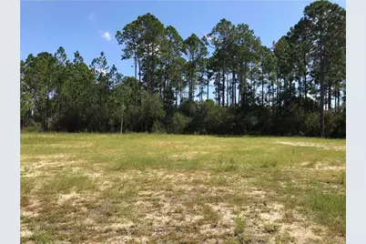 124 Pine St, Mexico Beach, FL 32456 - Photo 2