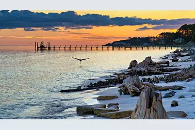 221 Baywood Dr, Carrabelle, FL 32322 - Photo 12