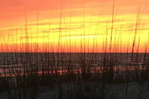 7011 Windward St, Cape San Blas, FL 32456 - Photo 46