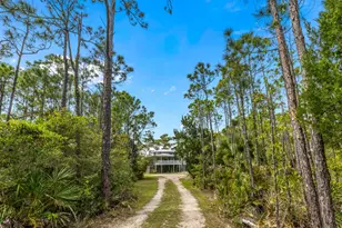 2039 Sand Dollar Trail, Saint George Island, FL 32328 - Photo 2