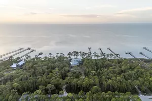 2039 Sand Dollar Trail, Saint George Island, FL 32328 - Photo 90