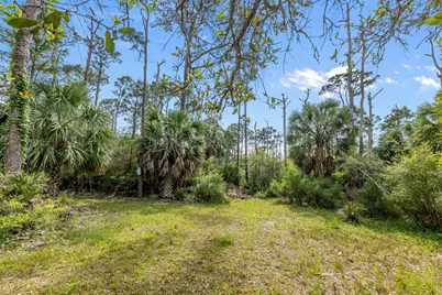 2043 Sand Dollar Trl, Saint George Island, FL 32328 - Photo 4