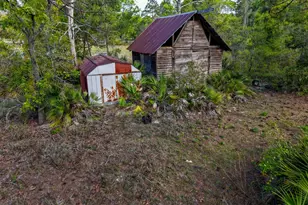 119 Sanborn Rd, Carrabelle, FL 32322 - Photo 12