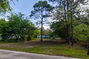 119 Sanborn Rd, Carrabelle, FL 32322 - Photo 10