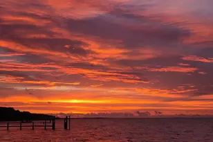 122 California St, Carrabelle, FL 32322 - Photo 56