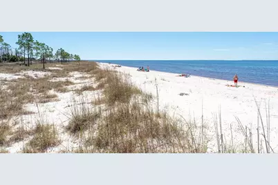 803 Backwater Rd, Port Saint Joe, FL 32456 - Photo 30