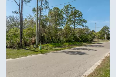 316 E Pine Ave, Saint George Island, FL 32328 - Photo 2